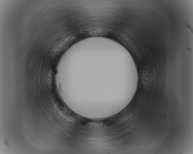 X0000103130690200809121732