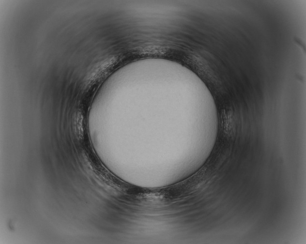 X0000103130692200809121732