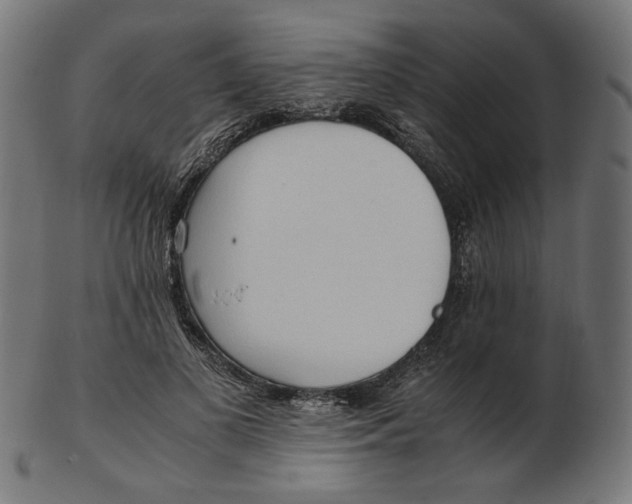 X0000103130693200809121732