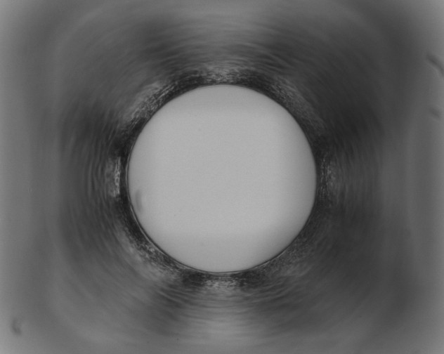 X0000103130694200809121732