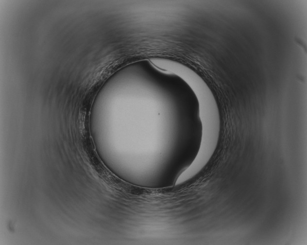X0000103130695200809121732