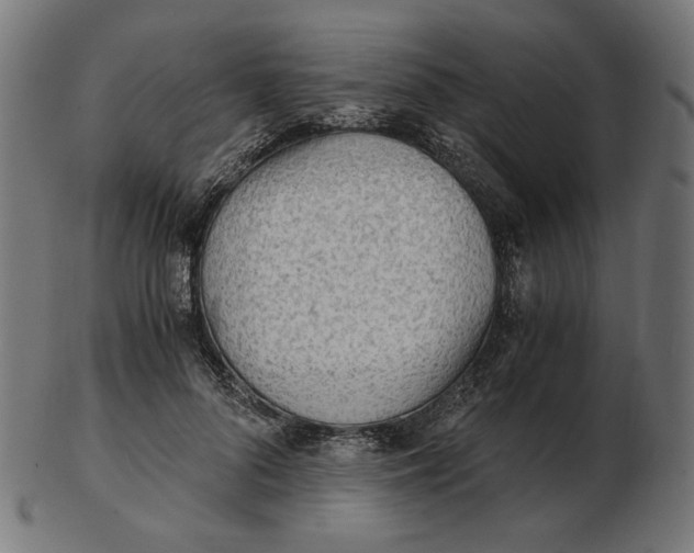 X0000103130696200809121732