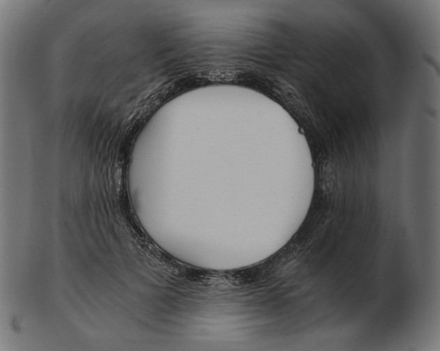 X0000103130697200809121732