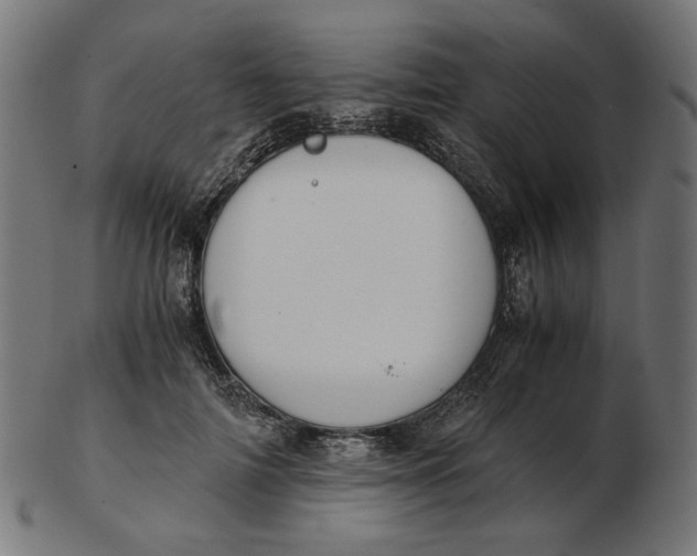 X0000103130698200809121732