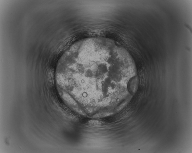 X0000103130699200809121732