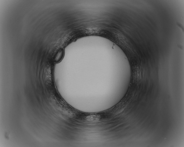 X0000103130700200809121732