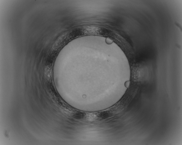 X0000103130701200809121732