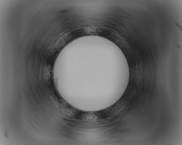 X0000103130702200809121732
