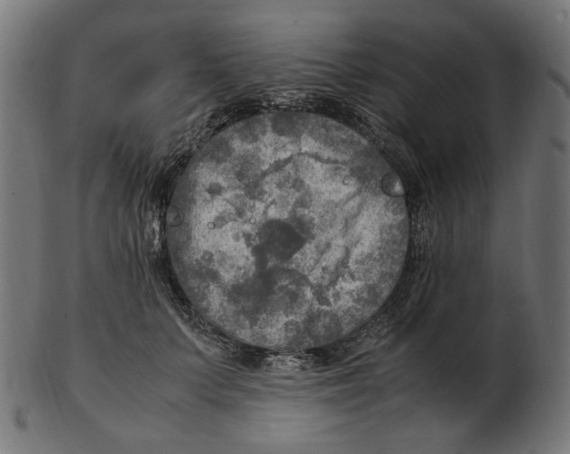 X0000103130703200809121732