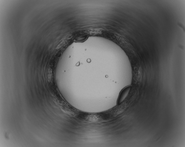 X0000103130704200809121732