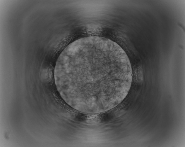 X0000103130705200809121732