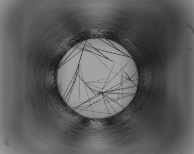 X0000103130706200809121732