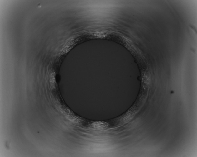 X0000103130707200809121732