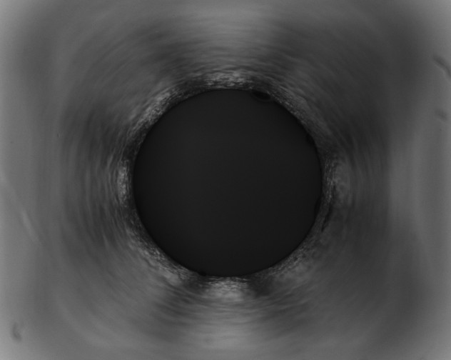 X0000103130708200809121732