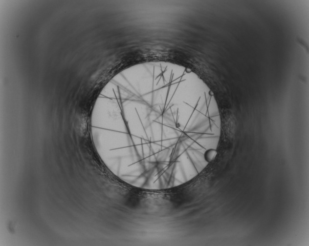 X0000103130709200809121732