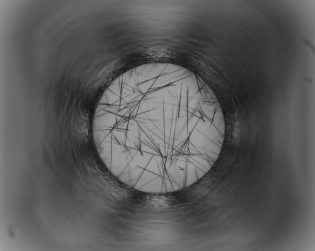 X0000103130710200809121732