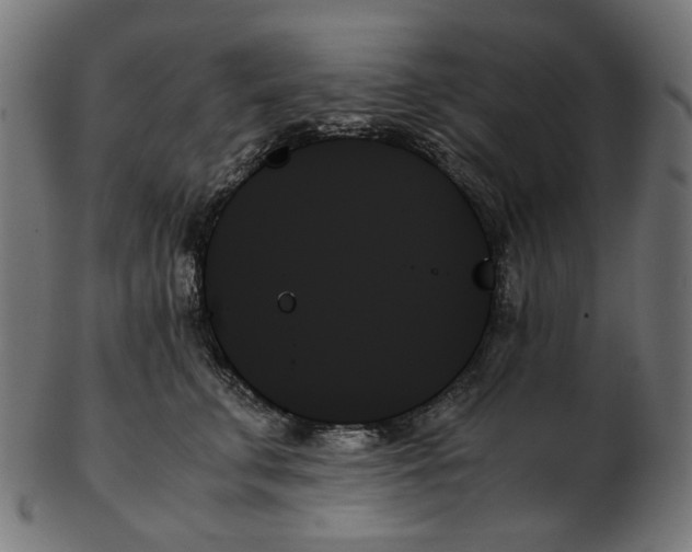 X0000103130711200809121732