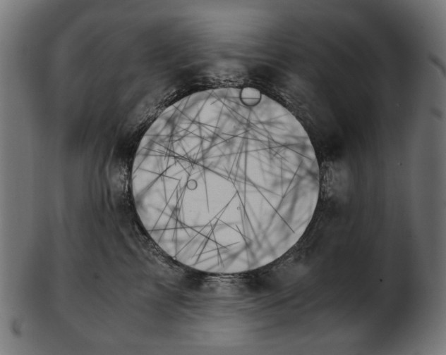 X0000103130713200809121732