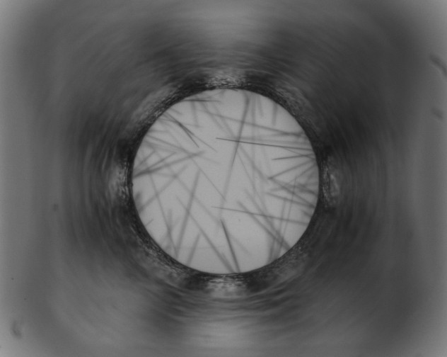 X0000103130714200809121732
