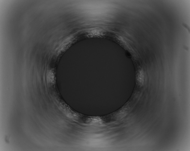 X0000103130715200809121732