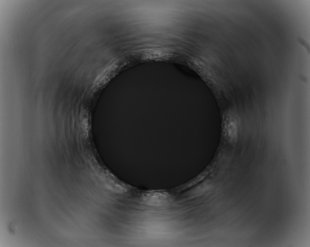 X0000103130716200809121732