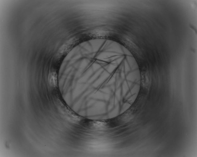 X0000103130718200809121732