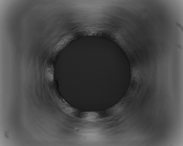 X0000103130719200809121732