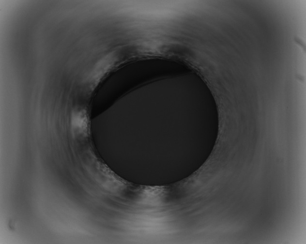 X0000103130720200809121732