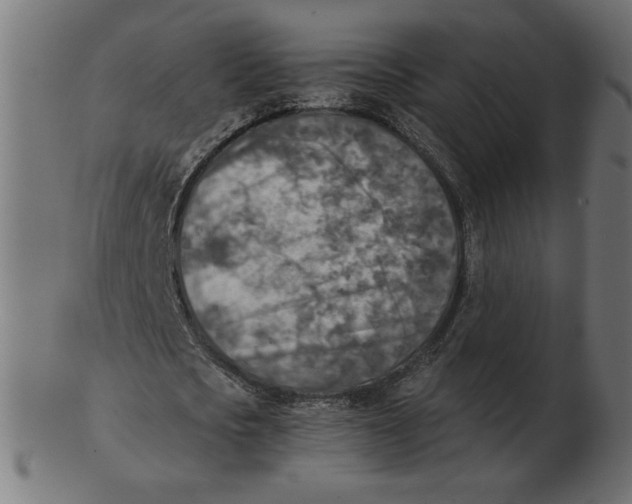 X0000103130721200809121731