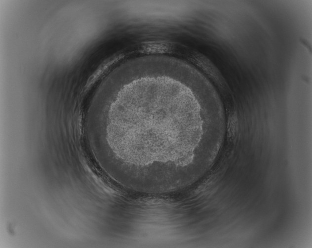 X0000103130722200809121731