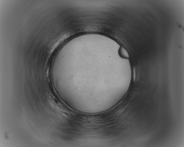 X0000103130723200809121731