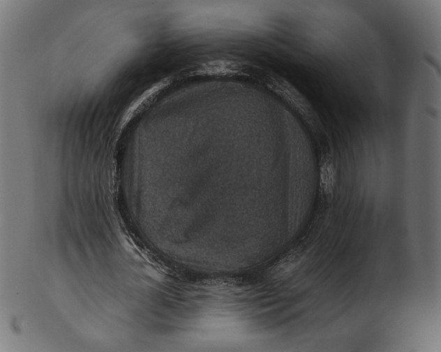 X0000103130724200809121731