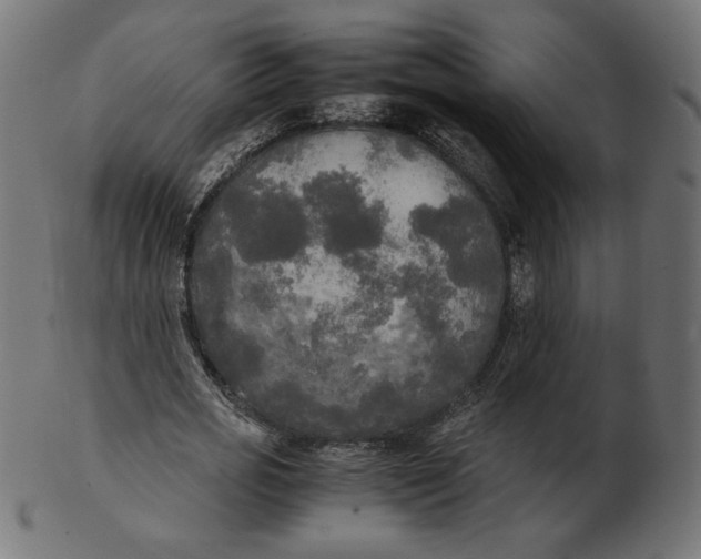 X0000103130725200809121731