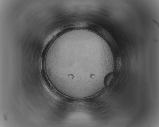 X0000103130726200809121731