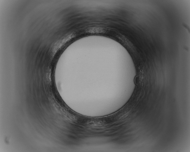 X0000103130727200809121731