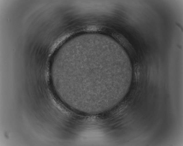 X0000103130728200809121731