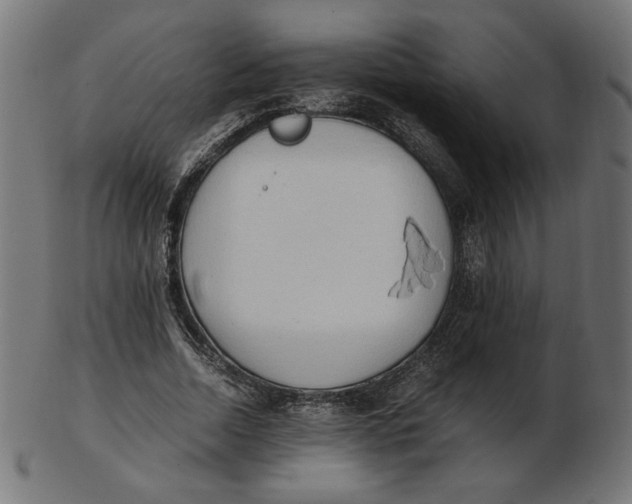 X0000103130730200809121731