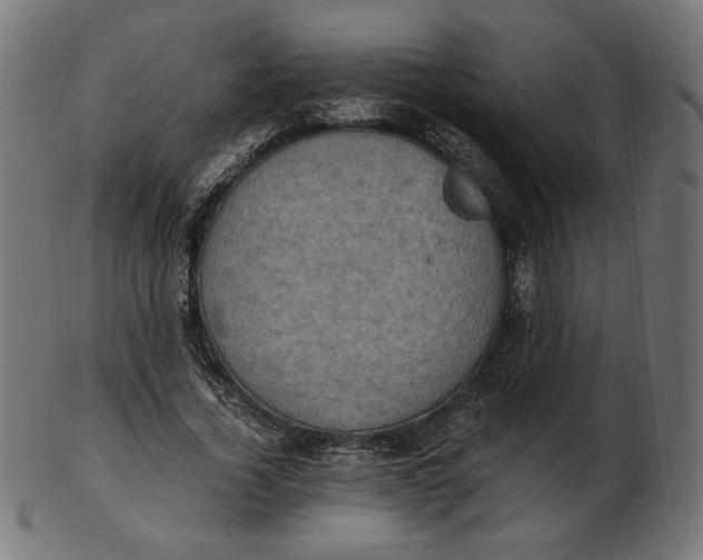 X0000103130732200809121731