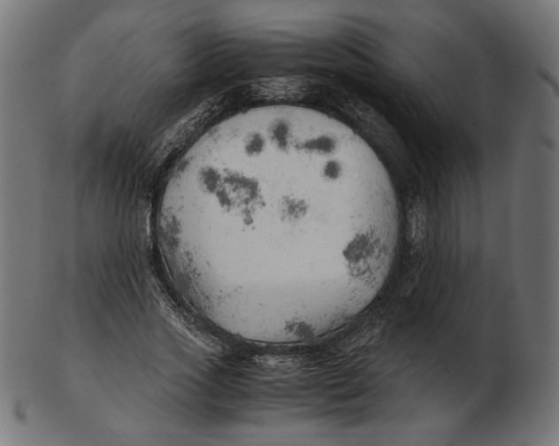 X0000103130733200809121731