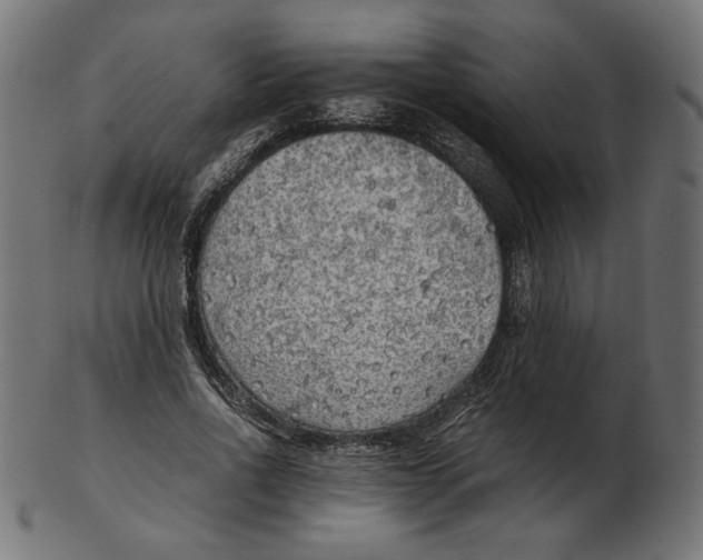 X0000103130734200809121731