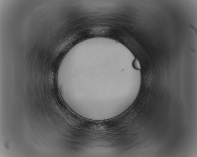 X0000103130735200809121731