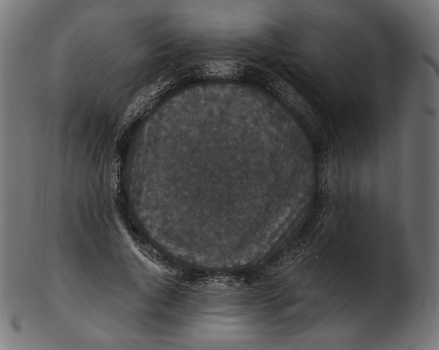 X0000103130736200809121731