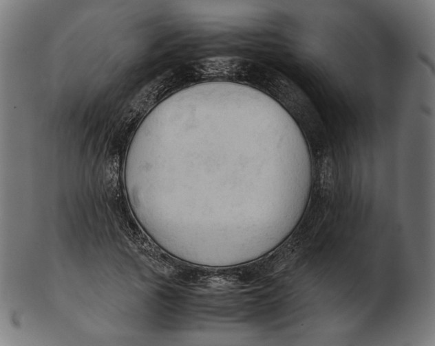 X0000103130737200809121731