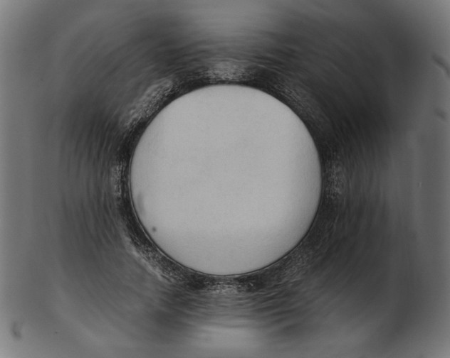 X0000103130738200809121731