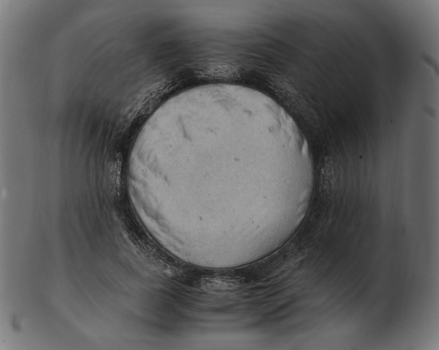 X0000103130739200809121731