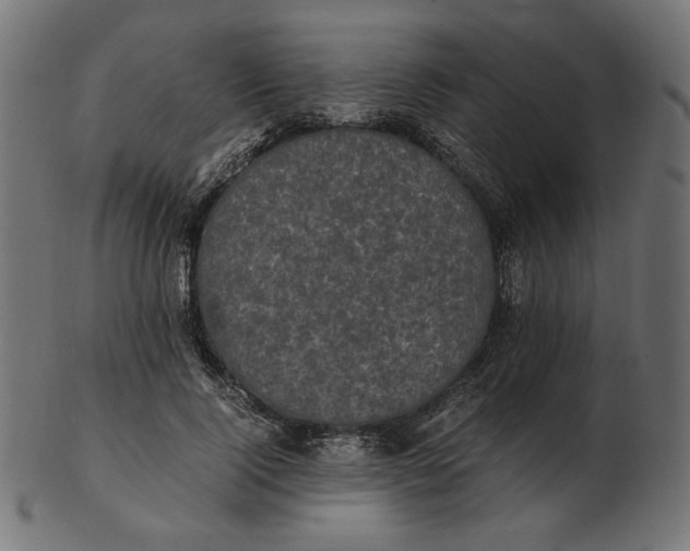 X0000103130740200809121731