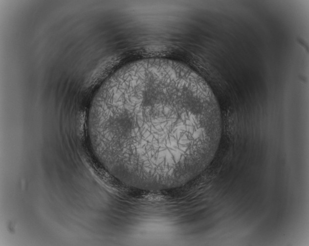 X0000103130742200809121731