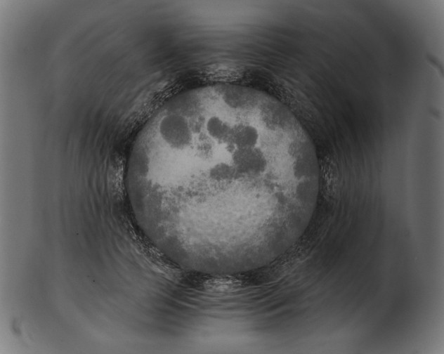 X0000103130745200809121731