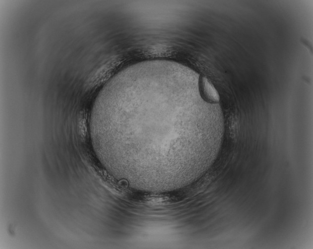 X0000103130746200809121731