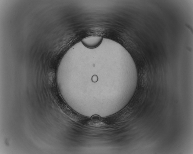 X0000103130747200809121731